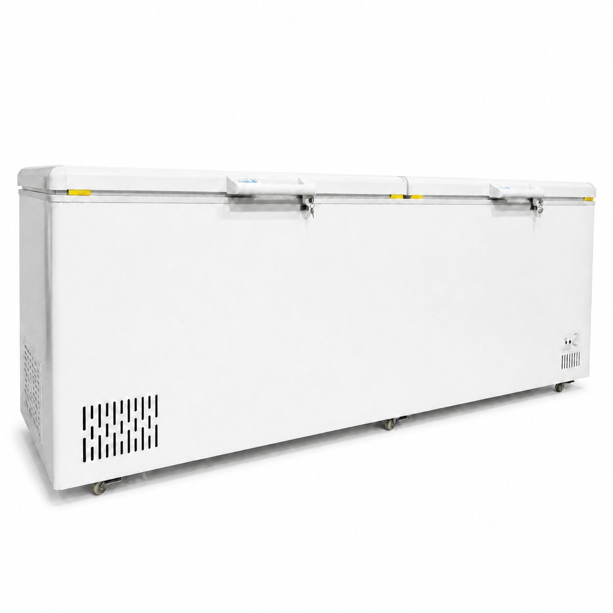 Representative WeWell large-capacity chest freezer from the product range